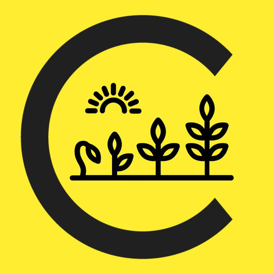 Evolution Day for Team Members / Partners / Family Members